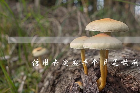信用卡逾期半个月还能刷吗