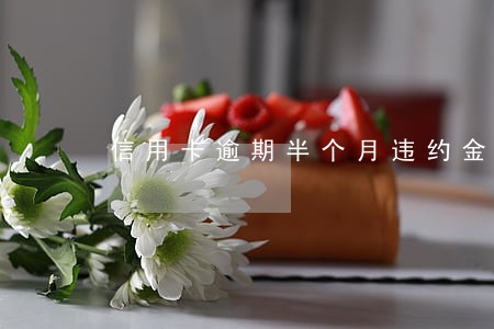 信用卡逾期半个月违约金 信用卡逾期半个月违约金