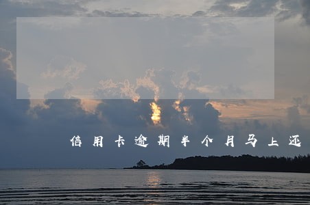 信用卡逾期半个月马上还了 信用卡逾期半个月马上还了