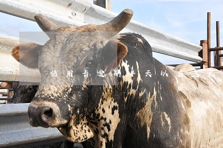信用卡逾期半天以后怎么办 信用卡逾期半天以后怎么办