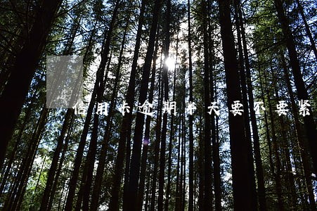 信用卡逾期半天要不要紧 信用卡逾期半天要不要紧