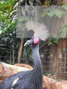 信用卡逾期半小时影响征信吗 信用卡逾期半小时影响征信吗