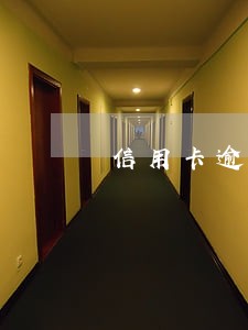 信用卡逾期半小时怎么办