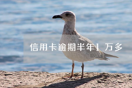 信用卡逾期半年1万多 信用卡逾期半年1万多