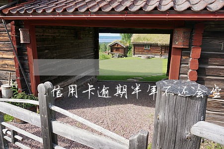信用卡逾期半年不还会坐牢吗 信用卡逾期半年不还会坐牢吗