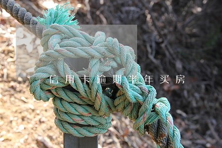 信用卡逾期半年买房 信用卡逾期半年买房