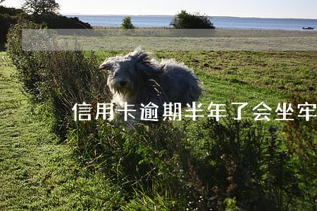 信用卡逾期半年了会坐牢吗 信用卡逾期半年了会坐牢吗