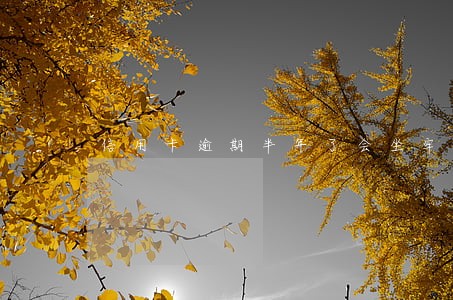 信用卡逾期半年了会坐牢嘛 信用卡逾期半年了会坐牢嘛
