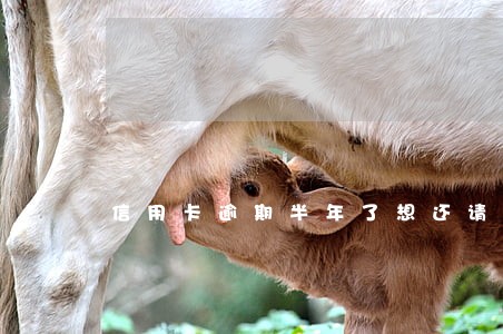 信用卡逾期半年了想还请怎么办 信用卡逾期半年了想还请怎么办