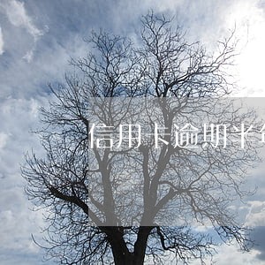 信用卡逾期半年了我要崩溃了 信用卡逾期半年了我要崩溃了