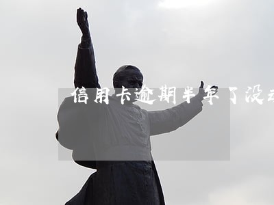 信用卡逾期半年了没动静了 信用卡逾期半年了没动静了
