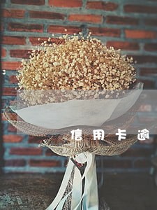 信用卡逾期半年了能上网吗 信用卡逾期半年了能上网吗