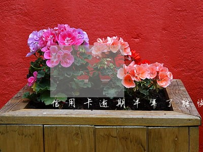 信用卡逾期半年了能恢复吗 信用卡逾期半年了能恢复吗