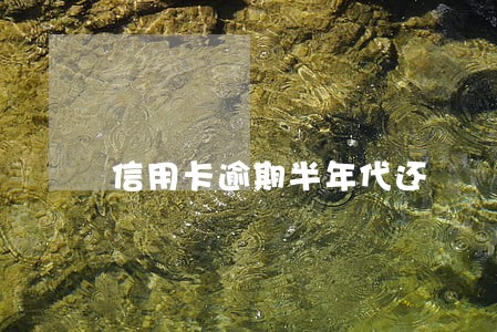 信用卡逾期半年代还 信用卡逾期半年代还