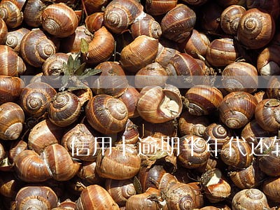 信用卡逾期半年代还软件