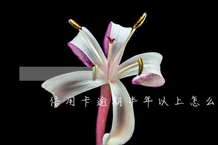 信用卡逾期半年以上怎么办