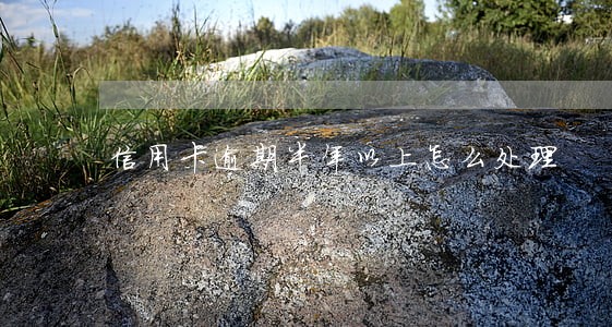 信用卡逾期半年以上怎么处理 信用卡逾期半年以上怎么处理