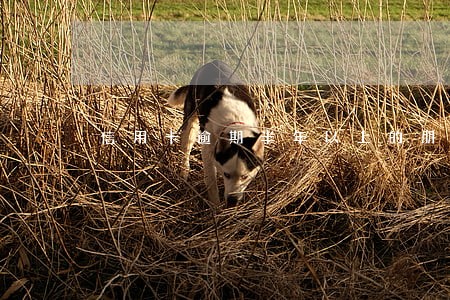 信用卡逾期半年以上的朋友 信用卡逾期半年以上的朋友