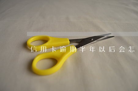 信用卡逾期半年以后会怎么样 信用卡逾期半年以后会怎么样