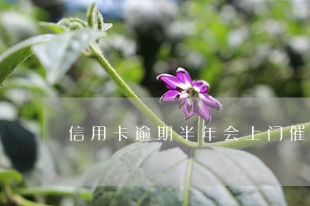 信用卡逾期半年会上门催收么 信用卡逾期半年会上门催收么