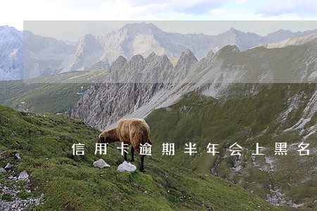 信用卡逾期半年会上黑名单吗 信用卡逾期半年会上黑名单吗