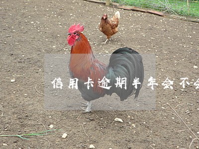 信用卡逾期半年会不会被告