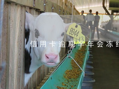 信用卡逾期半年会冻结卡吗 信用卡逾期半年会冻结卡吗