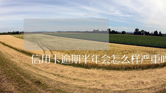 信用卡逾期半年会怎么样严重吗 信用卡逾期半年会怎么样严重吗