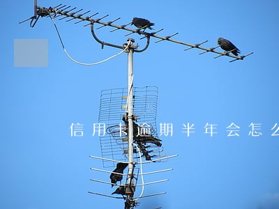 信用卡逾期半年会怎么样的卡已冻结 信用卡逾期半年会怎么样的卡已冻结