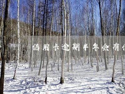 信用卡逾期半年会有什么后果 信用卡逾期半年会有什么后果