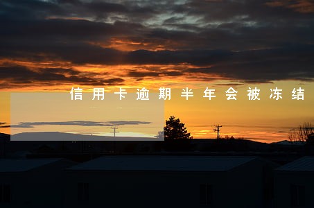 信用卡逾期半年会被冻结 信用卡逾期半年会被冻结