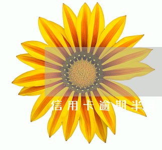 信用卡逾期半年会被判刑吗