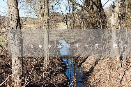 信用卡逾期半年何时取消污点
