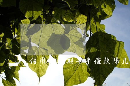 信用卡逾期半年催款隔几天 信用卡逾期半年催款隔几天