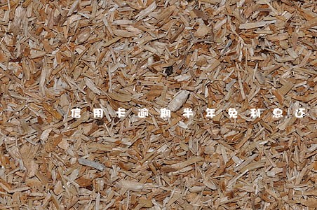 信用卡逾期半年免利息还款 信用卡逾期半年免利息还款