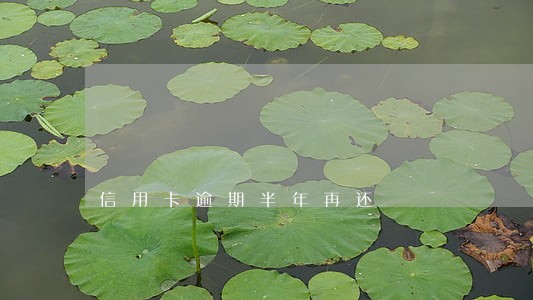信用卡逾期半年再还