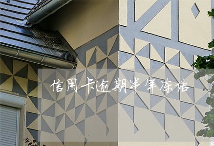 信用卡逾期半年冻结 信用卡逾期半年冻结