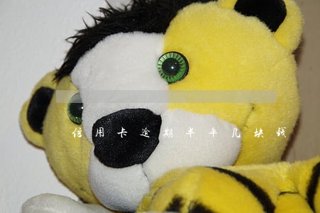 信用卡逾期半年几块钱
