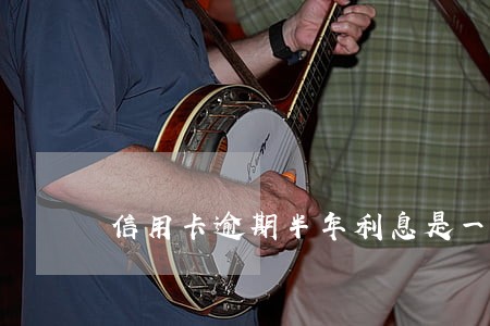 信用卡逾期半年利息是一千块 信用卡逾期半年利息是一千块