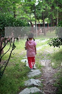 信用卡逾期半年利息能减免吗 信用卡逾期半年利息能减免吗