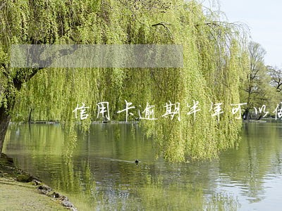 信用卡逾期半年可以做飞机吗