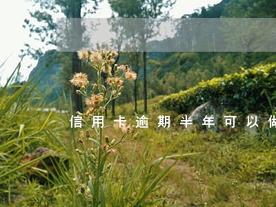 信用卡逾期半年可以做高铁么 信用卡逾期半年可以做高铁么