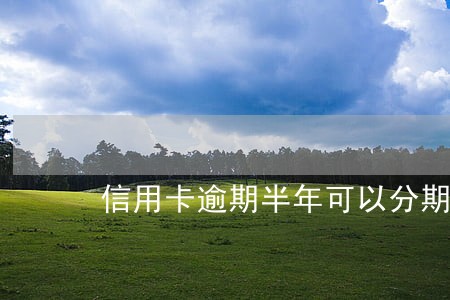 信用卡逾期半年可以分期还款吗