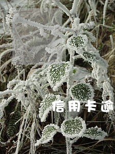 信用卡逾期半年可以去银行吗