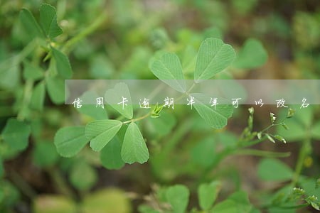 信用卡逾期半年可以改名 信用卡逾期半年可以改名