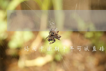 信用卡逾期半年可以直接还钱不 信用卡逾期半年可以直接还钱不