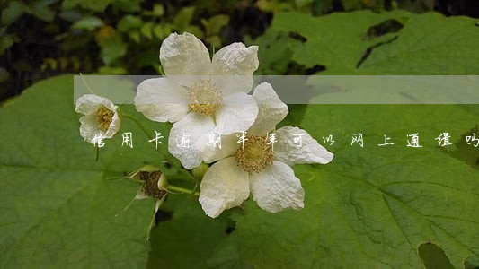 信用卡逾期半年可以网上通缉吗