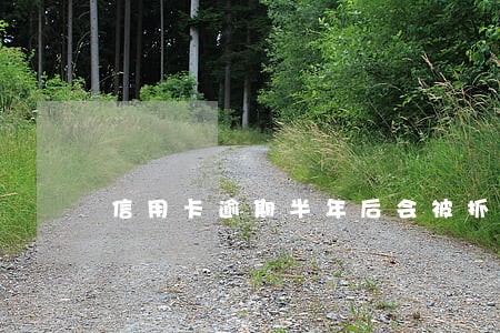 信用卡逾期半年后会被抓吗