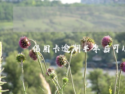 信用卡逾期半年后可以还最低吗