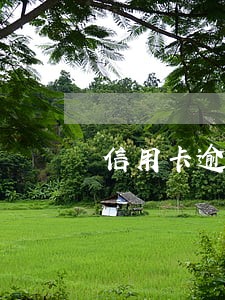 信用卡逾期半年后没账单怎么回事 信用卡逾期半年后没账单怎么回事